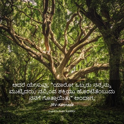 Picture 03 - ಲೂಕನು 8:46 KANIRV - ಆದರೆ ಯೇಸುವು, “ಯಾರೋ - Bible Verse Picture