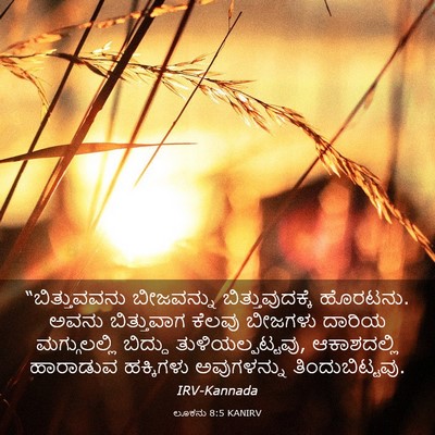 Picture 03 - ಲೂಕನು 8:5 KANIRV - “ಬಿತ್ತುವವನು - Bible Verse Picture