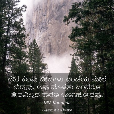 Picture 03 - ಲೂಕನು 8:6 KANIRV - ಬೇರೆ ಕೆಲವು ಬೀಜಗಳು - Bible Verse Picture