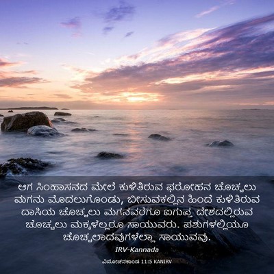 Picture 03 - ವಿಮೋಚನಕಾಂಡ 11:5 KANIRV - ಆಗ ಸಿಂಹಾಸನದ ಮೇಲೆ - Bible Verse Picture