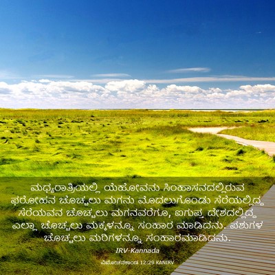 Picture 03 - ವಿಮೋಚನಕಾಂಡ 12:29 KANIRV - ಮಧ್ಯರಾತ್ರಿಯಲ್ಲಿ - Bible Verse Picture