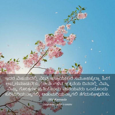 Picture 03 - ವಿಮೋಚನಕಾಂಡ 12:3 KANIRV - ಇದರ ವಿಷಯದಲ್ಲಿ - Bible Verse Picture