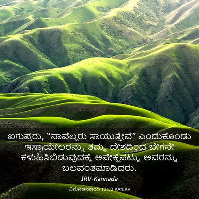 Picture 03 - ವಿಮೋಚನಕಾಂಡ 12:33 KANIRV - ಐಗುಪ್ತರು, - Bible Verse Picture