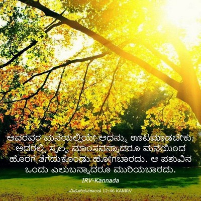 Picture 03 - ವಿಮೋಚನಕಾಂಡ 12:46 KANIRV - ಅವರವರ ಮನೆಯಲ್ಲಿಯೇ - Bible Verse Picture