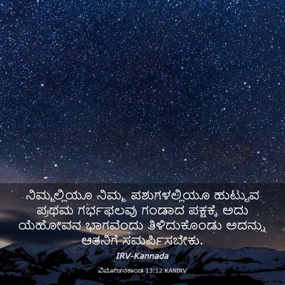 Picture 03 - ವಿಮೋಚನಕಾಂಡ 13:12 KANIRV - ನಿಮ್ಮಲ್ಲಿಯೂ ನಿಮ್ಮ - Bible Verse Picture