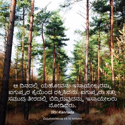 Picture 03 - ವಿಮೋಚನಕಾಂಡ 14:30 KANIRV - ಆ ದಿನದಲ್ಲಿ - Bible Verse Picture