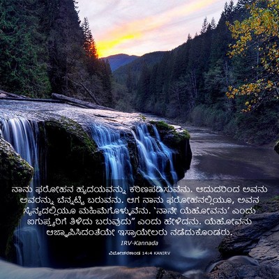 Picture 03 - ವಿಮೋಚನಕಾಂಡ 14:4 KANIRV - ನಾನು ಫರೋಹನ - Bible Verse Picture