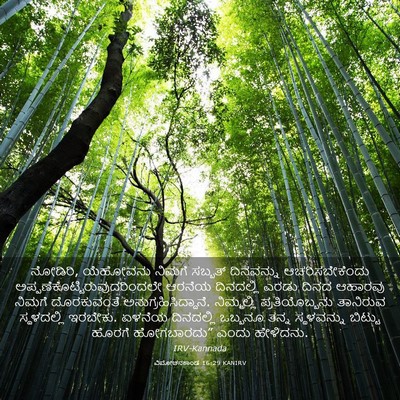 Picture 03 - ವಿಮೋಚನಕಾಂಡ 16:29 KANIRV - ನೋಡಿರಿ, ಯೆಹೋವನು - Bible Verse Picture