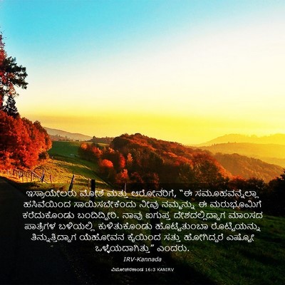 Picture 03 - ವಿಮೋಚನಕಾಂಡ 16:3 KANIRV - ಇಸ್ರಾಯೇಲರು ಮೋಶೆ - Bible Verse Picture