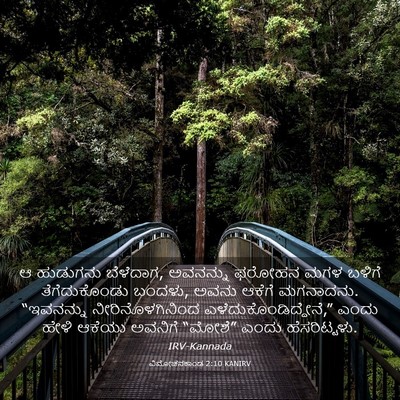 Picture 03 - ವಿಮೋಚನಕಾಂಡ 2:10 KANIRV - ಆ ಹುಡುಗನು ಬೆಳೆದಾಗ, - Bible Verse Picture