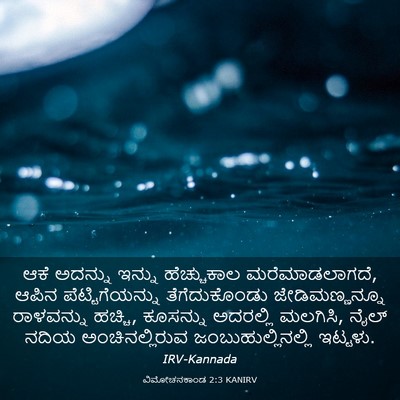 Picture 03 - ವಿಮೋಚನಕಾಂಡ 2:3 KANIRV - ಆಕೆ ಅದನ್ನು ಇನ್ನು - Bible Verse Picture
