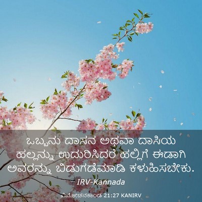 Picture 03 - ವಿಮೋಚನಕಾಂಡ 21:27 KANIRV - ಒಬ್ಬನು ದಾಸನ ಅಥವಾ - Bible Verse Picture