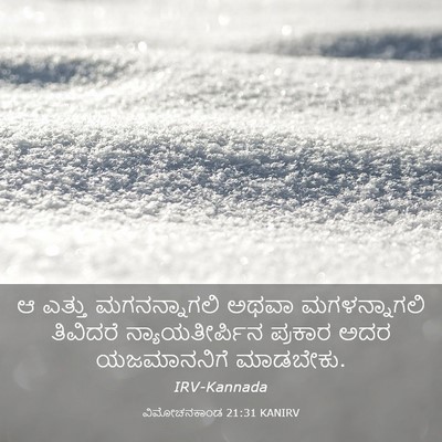 Picture 03 - ವಿಮೋಚನಕಾಂಡ 21:31 KANIRV - ಆ ಎತ್ತು - Bible Verse Picture