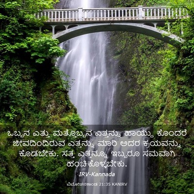 Picture 03 - ವಿಮೋಚನಕಾಂಡ 21:35 KANIRV - ಒಬ್ಬನ ಎತ್ತು - Bible Verse Picture