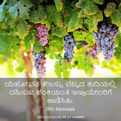 Picture 03 - ವಿಮೋಚನಕಾಂಡ 24:17 KANIRV - ಯೆಹೋವನ ತೇಜಸ್ಸು - Bible Verse Picture