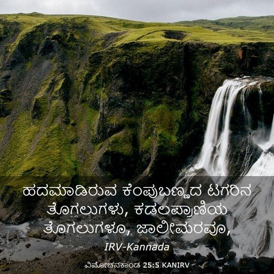 Picture 03 - ವಿಮೋಚನಕಾಂಡ 25:5 KANIRV - ಹದಮಾಡಿರುವ - Bible Verse Picture