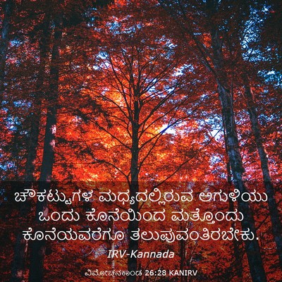 Picture 03 - ವಿಮೋಚನಕಾಂಡ 26:28 KANIRV - ಚೌಕಟ್ಟುಗಳ - Bible Verse Picture