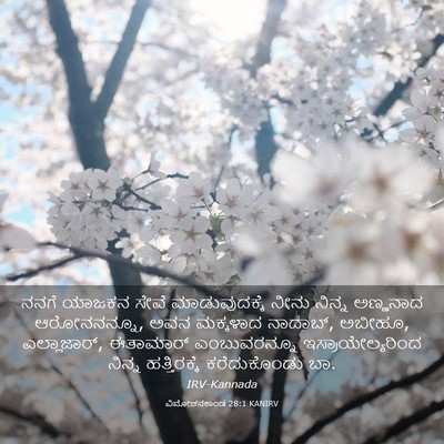 Picture 03 - ವಿಮೋಚನಕಾಂಡ 28:1 KANIRV - ನನಗೆ ಯಾಜಕನ ಸೇವೆ - Bible Verse Picture