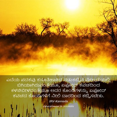 Picture 03 - ವಿಮೋಚನಕಾಂಡ 28:28 KANIRV - ಎದೆಯ ಪದಕವು - Bible Verse Picture