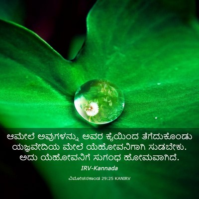 Picture 03 - ವಿಮೋಚನಕಾಂಡ 29:25 KANIRV - ಆಮೇಲೆ ಅವುಗಳನ್ನು - Bible Verse Picture