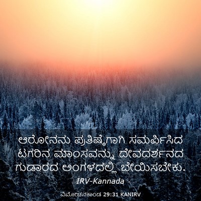 Picture 03 - ವಿಮೋಚನಕಾಂಡ 29:31 KANIRV - ಆರೋನನು - Bible Verse Picture