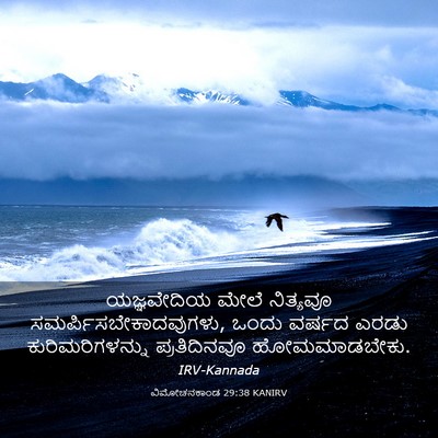 Picture 03 - ವಿಮೋಚನಕಾಂಡ 29:38 KANIRV - ಯಜ್ಞವೇದಿಯ ಮೇಲೆ - Bible Verse Picture