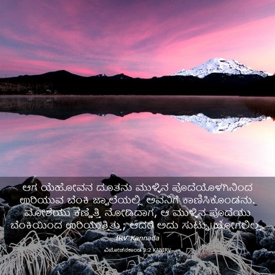 Picture 03 - ವಿಮೋಚನಕಾಂಡ 3:2 KANIRV - ಆಗ ಯೆಹೋವನ ದೂತನು - Bible Verse Picture