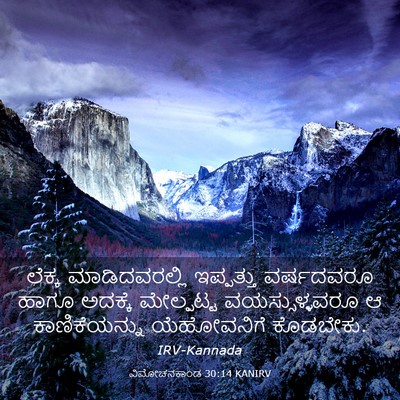 Picture 03 - ವಿಮೋಚನಕಾಂಡ 30:14 KANIRV - ಲೆಕ್ಕ ಮಾಡಿದವರಲ್ಲಿ - Bible Verse Picture