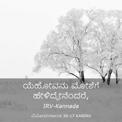 Picture 03 - ವಿಮೋಚನಕಾಂಡ 30:17 KANIRV - ಯೆಹೋವನು ಮೋಶೆಗೆ - Bible Verse Picture