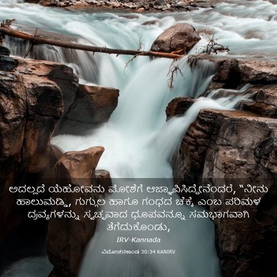 Picture 03 - ವಿಮೋಚನಕಾಂಡ 30:34 KANIRV - ಅದಲ್ಲದೆ ಯೆಹೋವನು - Bible Verse Picture