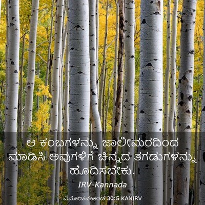 Picture 03 - ವಿಮೋಚನಕಾಂಡ 30:5 KANIRV - ಆ ಕಂಬಗಳನ್ನು - Bible Verse Picture