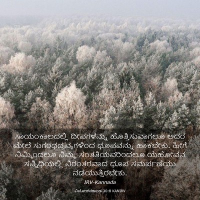 Picture 03 - ವಿಮೋಚನಕಾಂಡ 30:8 KANIRV - ಸಾಯಂಕಾಲದಲ್ಲಿ - Bible Verse Picture
