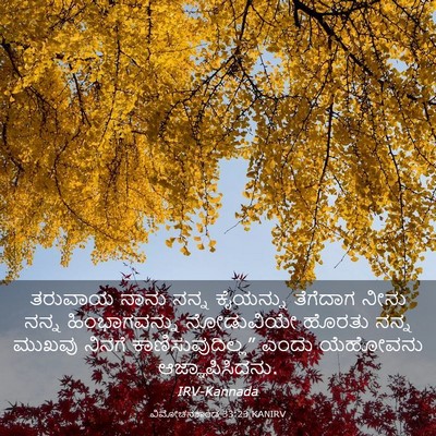 Picture 03 - ವಿಮೋಚನಕಾಂಡ 33:23 KANIRV - ತರುವಾಯ ನಾನು ನನ್ನ - Bible Verse Picture