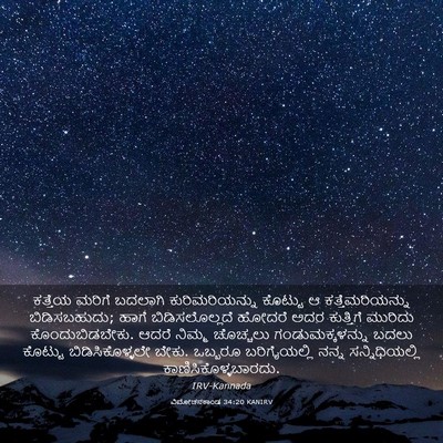 Picture 03 - ವಿಮೋಚನಕಾಂಡ 34:20 KANIRV - ಕತ್ತೆಯ ಮರಿಗೆ - Bible Verse Picture
