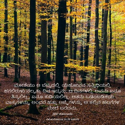 Picture 03 - ವಿಮೋಚನಕಾಂಡ 34:28 KANIRV - ಮೋಶೆಯು ಆ - Bible Verse Picture