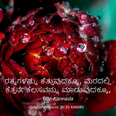 Picture 03 - ವಿಮೋಚನಕಾಂಡ 35:32 KANIRV - ರತ್ನಗಳನ್ನು - Bible Verse Picture