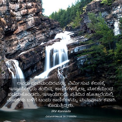 Picture 03 - ವಿಮೋಚನಕಾಂಡ 36:3 KANIRV - ಅವರು - Bible Verse Picture