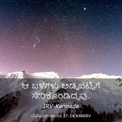 Picture 03 - ವಿಮೋಚನಕಾಂಡ 37:14 KANIRV - ಆ ಬಳೆಗಳು - Bible Verse Picture