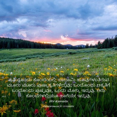 Picture 03 - ವಿಮೋಚನಕಾಂಡ 37:19 KANIRV - ಪ್ರತಿಯೊಂದು - Bible Verse Picture