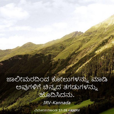 Picture 03 - ವಿಮೋಚನಕಾಂಡ 37:28 KANIRV - ಜಾಲೀಮರದಿಂದ - Bible Verse Picture