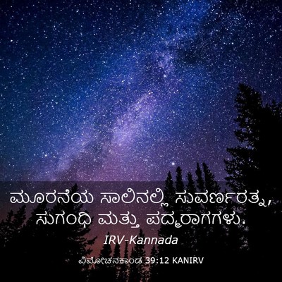 Picture 03 - ವಿಮೋಚನಕಾಂಡ 39:12 KANIRV - ಮೂರನೆಯ ಸಾಲಿನಲ್ಲಿ - Bible Verse Picture