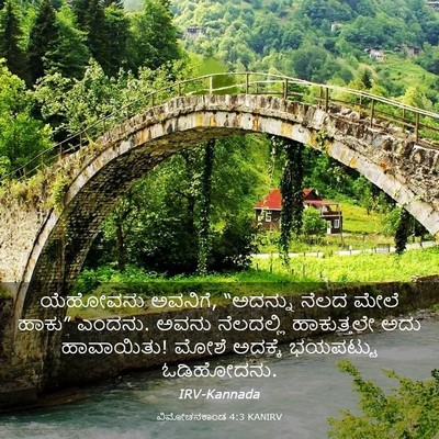 Picture 03 - ವಿಮೋಚನಕಾಂಡ 4:3 KANIRV - ಯೆಹೋವನು ಅವನಿಗೆ, - Bible Verse Picture