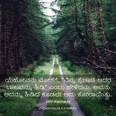 Picture 03 - ವಿಮೋಚನಕಾಂಡ 4:4 KANIRV - ಯೆಹೋವನು ಮೋಶೆಗೆ, - Bible Verse Picture