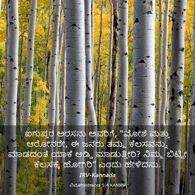 Picture 03 - ವಿಮೋಚನಕಾಂಡ 5:4 KANIRV - ಐಗುಪ್ತರ ಅರಸನು - Bible Verse Picture