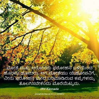Picture 03 - ವಿಮೋಚನಕಾಂಡ 8:12 KANIRV - ಮೋಶೆ ಮತ್ತು ಆರೋನರು - Bible Verse Picture