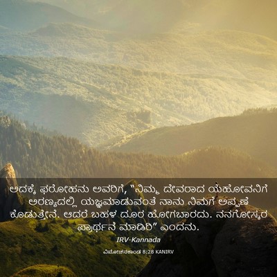 Picture 03 - ವಿಮೋಚನಕಾಂಡ 8:28 KANIRV - ಅದಕ್ಕೆ ಫರೋಹನು - Bible Verse Picture