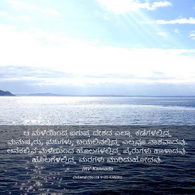 Picture 03 - ವಿಮೋಚನಕಾಂಡ 9:25 KANIRV - ಆ ಮಳೆಯಿಂದ ಐಗುಪ್ತ - Bible Verse Picture
