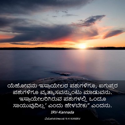 Picture 03 - ವಿಮೋಚನಕಾಂಡ 9:4 KANIRV - ಯೆಹೋವನು ಇಸ್ರಾಯೇಲರ - Bible Verse Picture