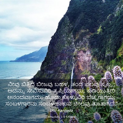 Picture 03 - ಹಗ್ಗಾಯನು 1:6 KANIRV - ನೀವು ಬಿತ್ತಿದ - Bible Verse Picture