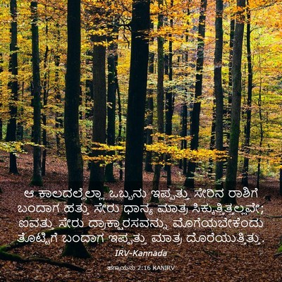 Picture 03 - ಹಗ್ಗಾಯನು 2:16 KANIRV - ಆ ಕಾಲದಲ್ಲೆಲ್ಲಾ - Bible Verse Picture